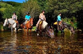 équitation